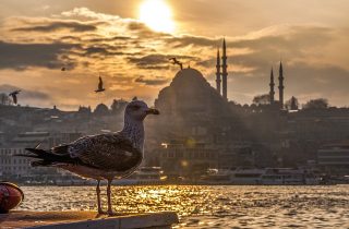 istanbul-nature istanbul-nature