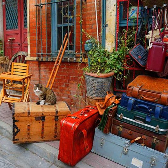 Araştırmacı Yazar Gök Türk'ün anlatımıyla Balat Gezisi